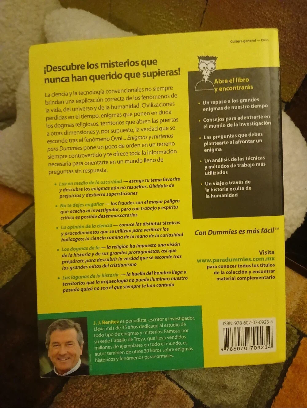 Enigmas y misterios para Dummies Book